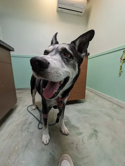 Ballard Animal Hospital 5