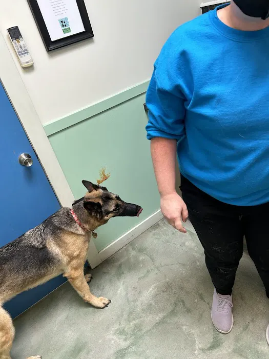 Ballard Animal Hospital 3