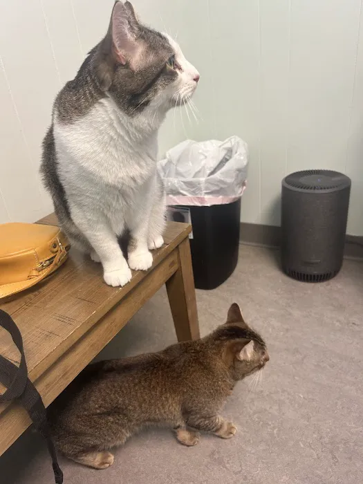 Ballard Animal Hospital 2