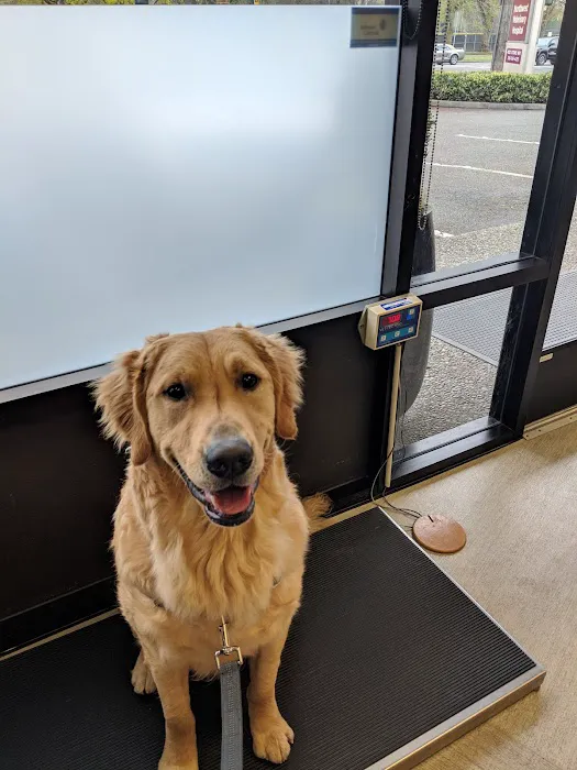 Northwest Veterinary Hospital 3