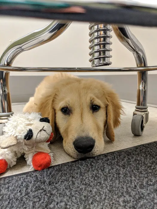Northwest Veterinary Hospital 4