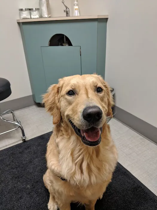 Northwest Veterinary Hospital 2