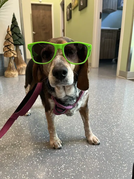 Pacific City Veterinary Care 12