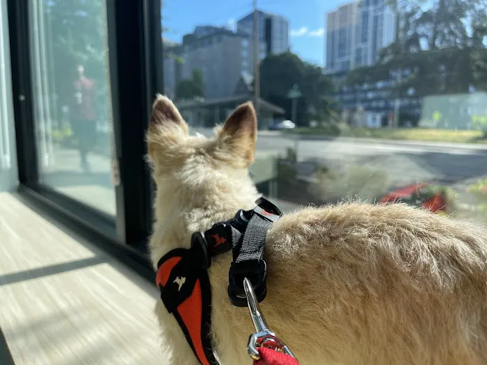 Pacific City Veterinary Care 12