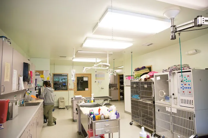 Emerald City Emergency Clinic 4
