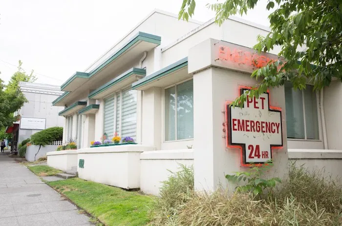 Emerald City Emergency Clinic 9