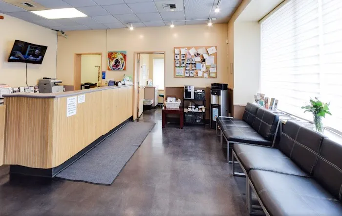 Emerald City Emergency Clinic 1