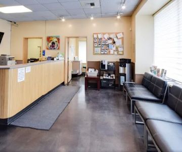 Emerald City Emergency Clinic