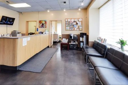 Emerald City Emergency Clinic