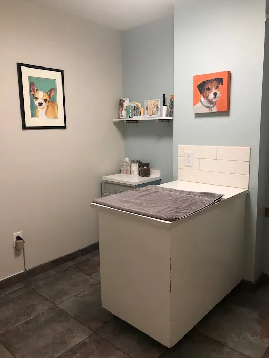 Madison Park Veterinary Hospital 2