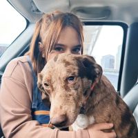 Madison Park Veterinary Hospital ico