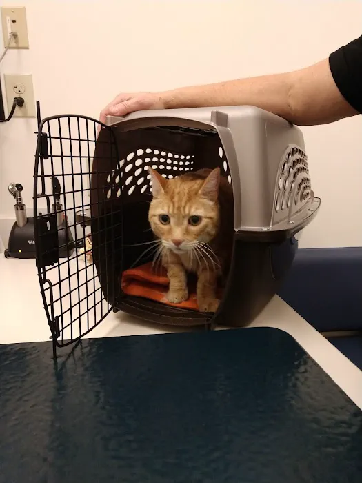 Woodhaven Veterinary Clinic 4