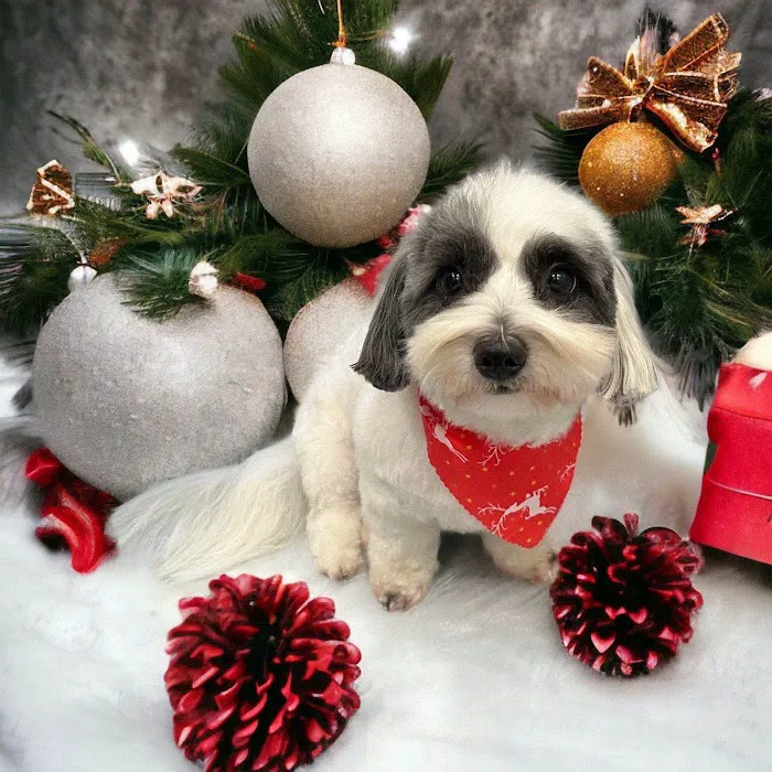 Woodhaven Veterinary Clinic 10