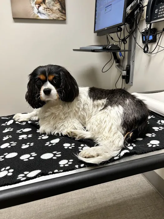 Richmond Beach Animal Hospital 12