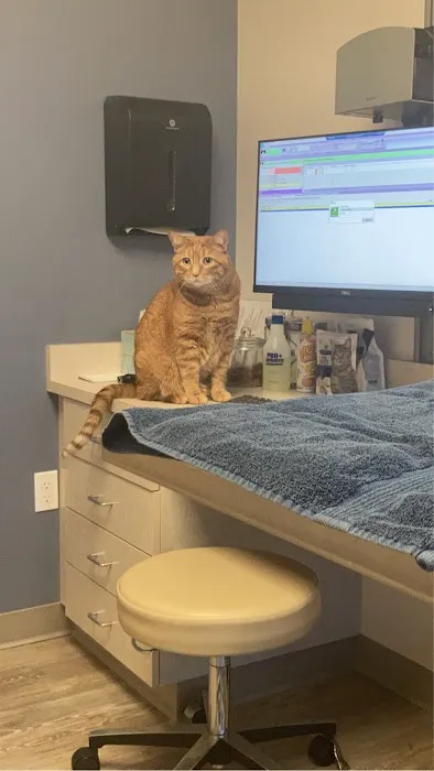 Richmond Beach Animal Hospital 12