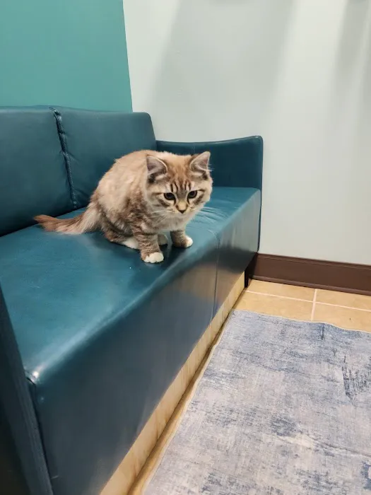 Passionate Paws Animal Hospital - Weddington 3