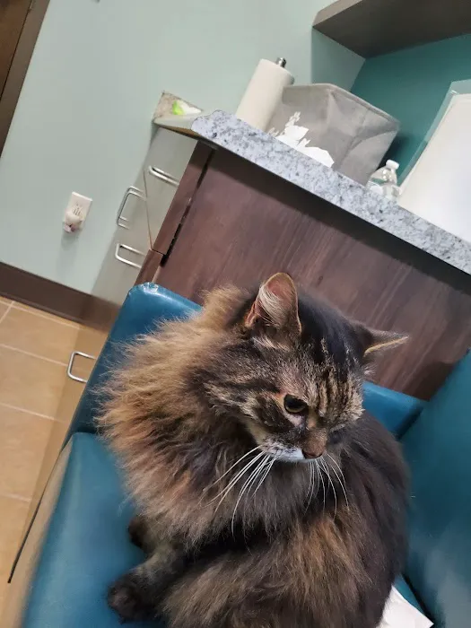 Passionate Paws Animal Hospital - Weddington 2