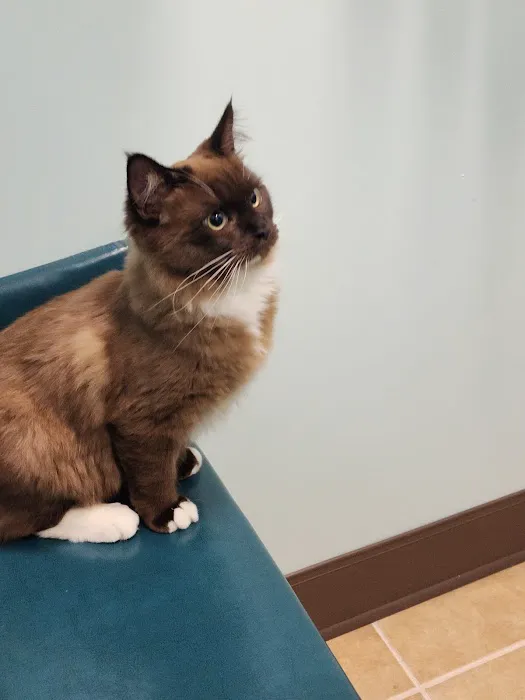 Passionate Paws Animal Hospital - Weddington 4