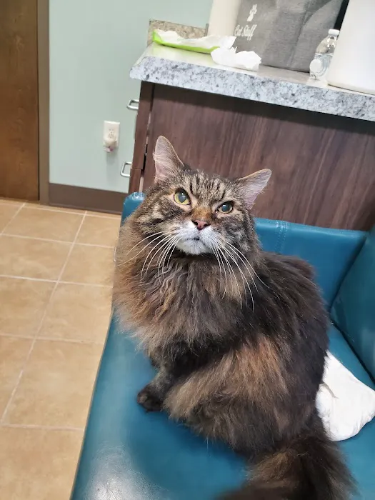 Passionate Paws Animal Hospital - Weddington 1