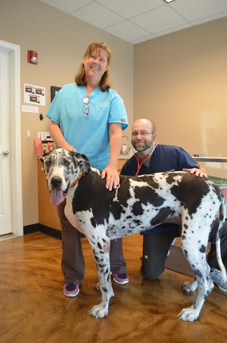 Spay Neuter Clinic of the Carolinas 3