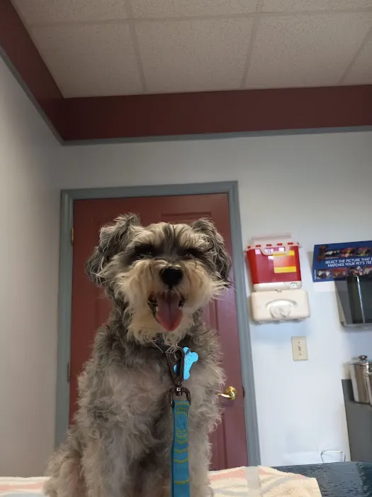 Central Providence Veterinary Hospital 4