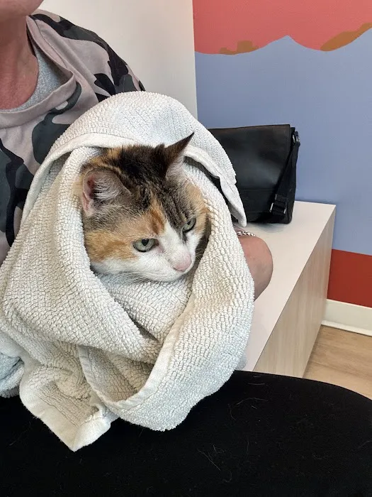 Petfolk Veterinary & Urgent Care - Ballantyne 3