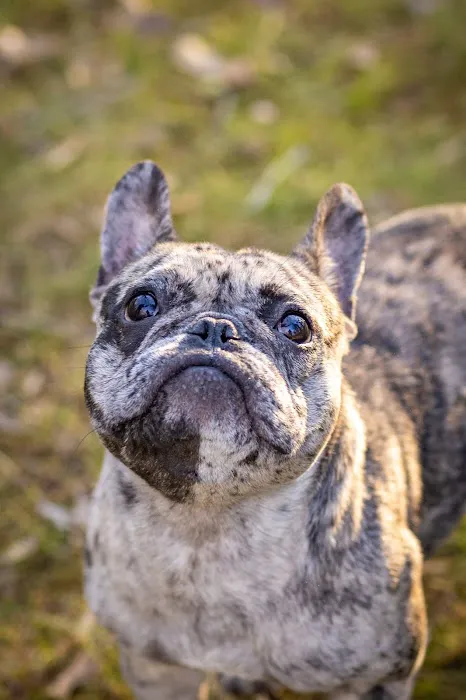 Avery Animal Clinic 12