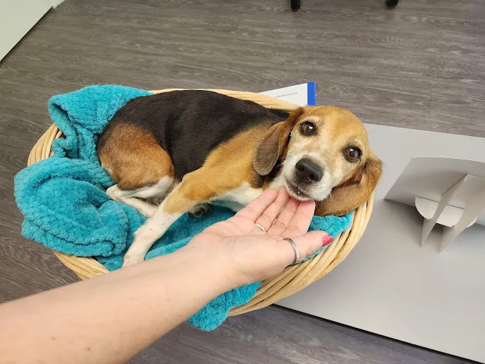 Miller Animal Hospital 3