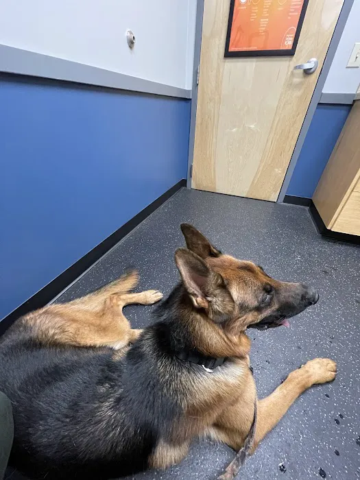 Indian Trail Animal Hospital 8