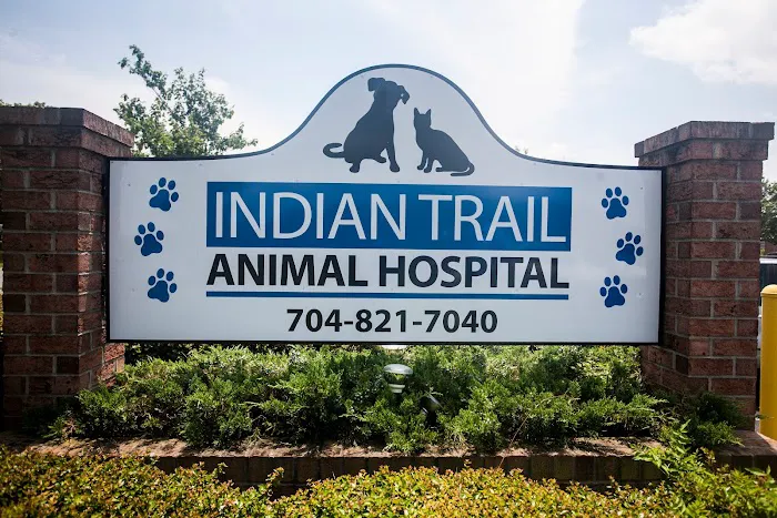 Indian Trail Animal Hospital 3