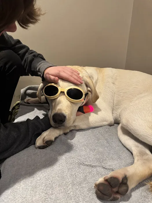 Vet-REC: Veterinary Rehabilitation & Exercise Clinic of the Carolinas 5