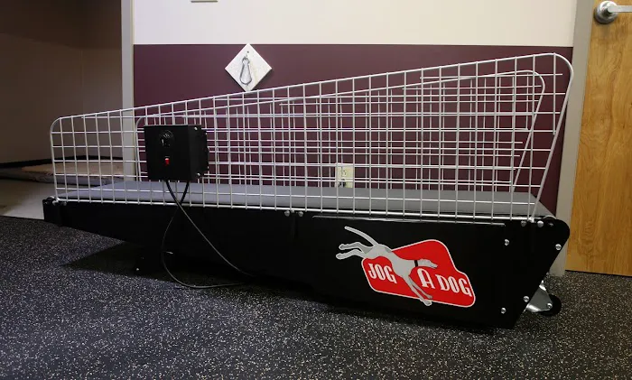 Vet-REC: Veterinary Rehabilitation & Exercise Clinic of the Carolinas 3