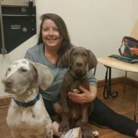 Sycamore Animal Clinic ico