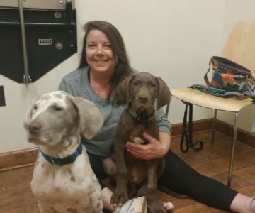 Sycamore Animal Clinic