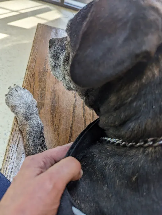Mint Hill Animal Hospital 9