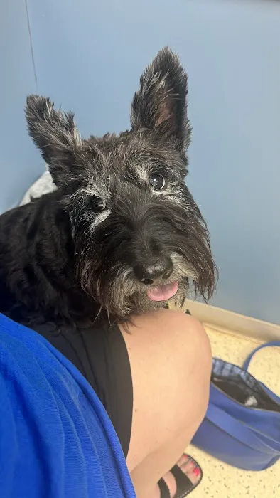 Mint Hill Animal Hospital 1