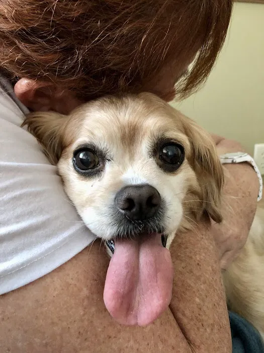 Caring Hearts Animal Hospital 3