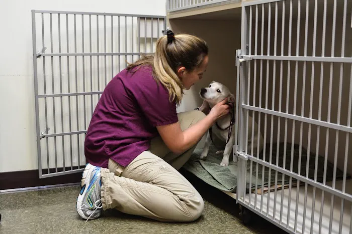 Caring Hearts Animal Hospital 6