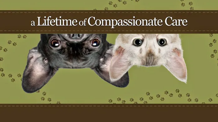 Caring Hearts Animal Hospital 4