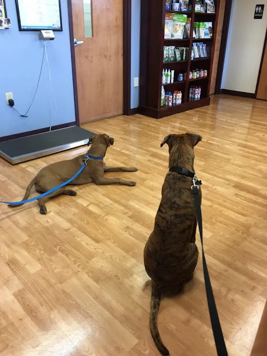 Caring Hearts Animal Hospital 7