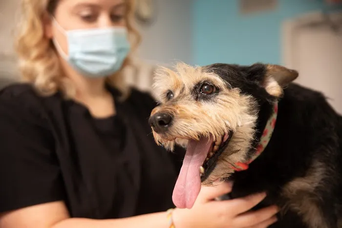 Eastex Veterinary Clinic 12