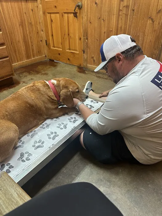 Animal Hospital Of Humble 3