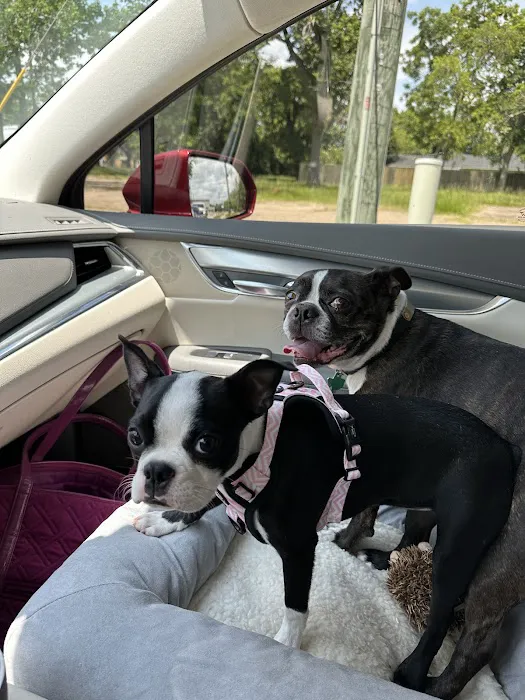 Animal Hospital Of Humble 2