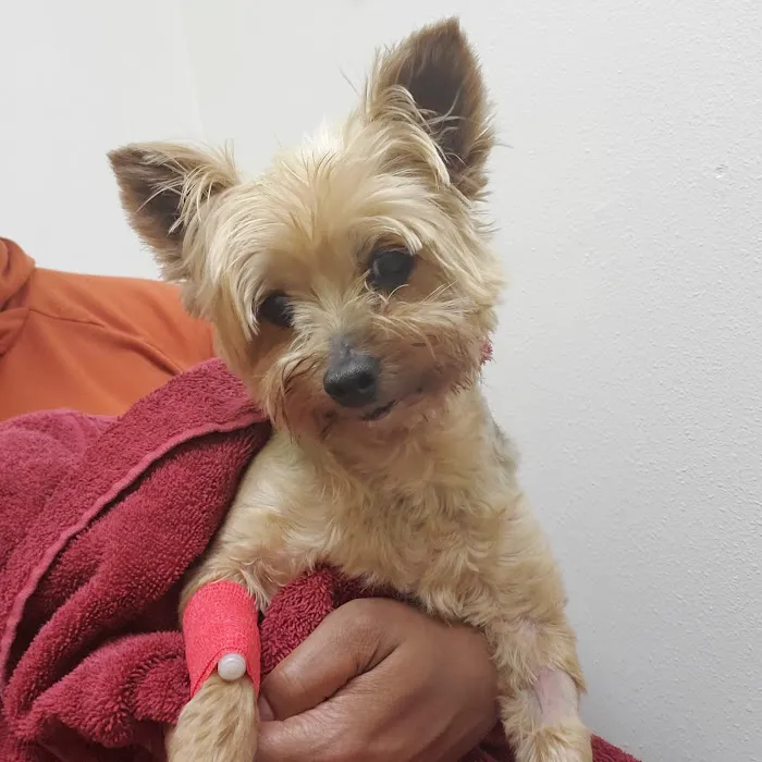 Banfield Pet Hospital 8