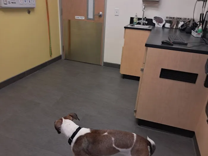 Banfield Pet Hospital 6