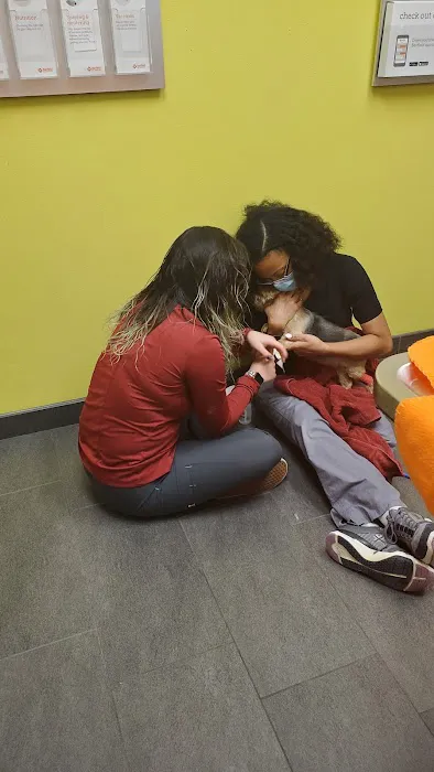Banfield Pet Hospital 4