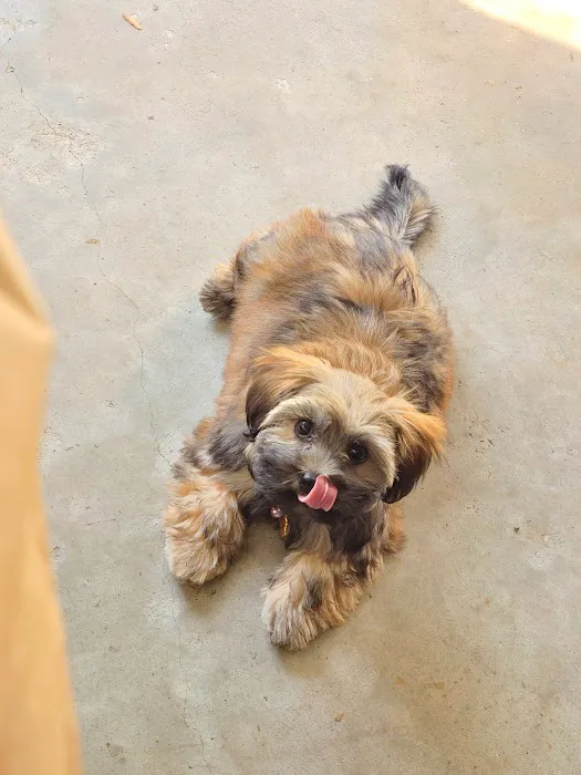 Banfield Pet Hospital 9