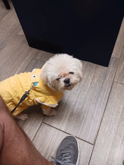 Atascazoo Animal Hospital 12
