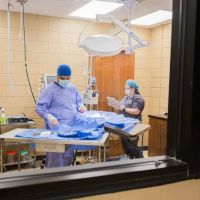 Animal Emergency Clinic NE ico
