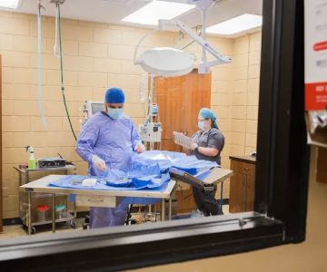 Animal Emergency Clinic NE